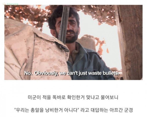 12_2.jpg