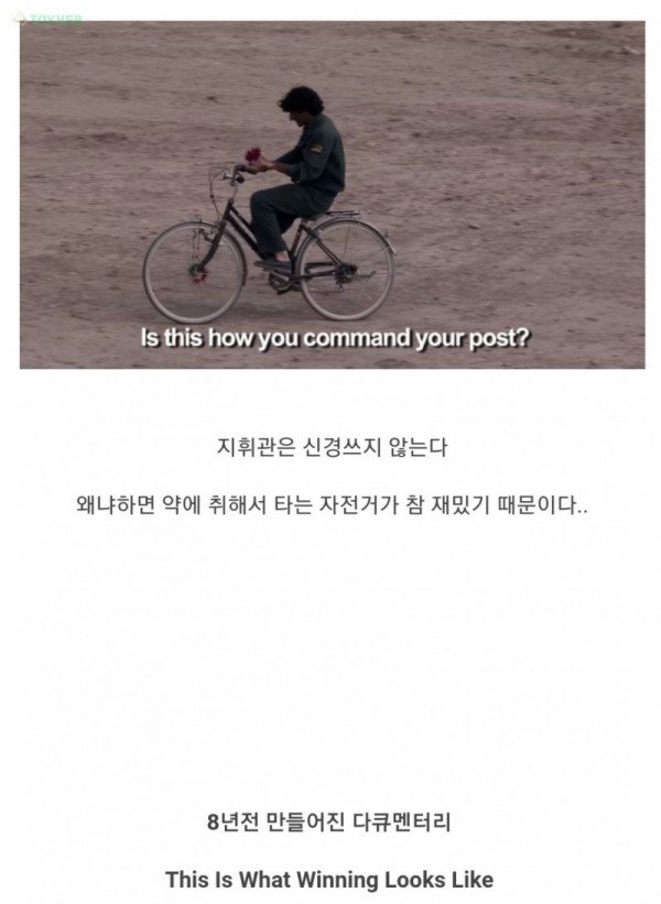 17_1.jpg